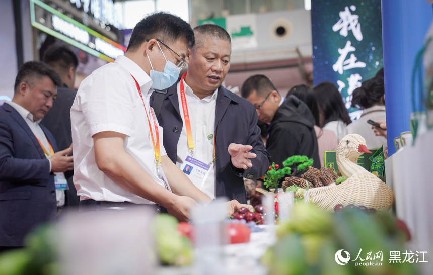 走！一起打卡“哈洽會”