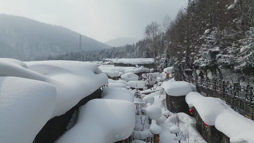 中國雪鄉：春雪紛飛雪色濃