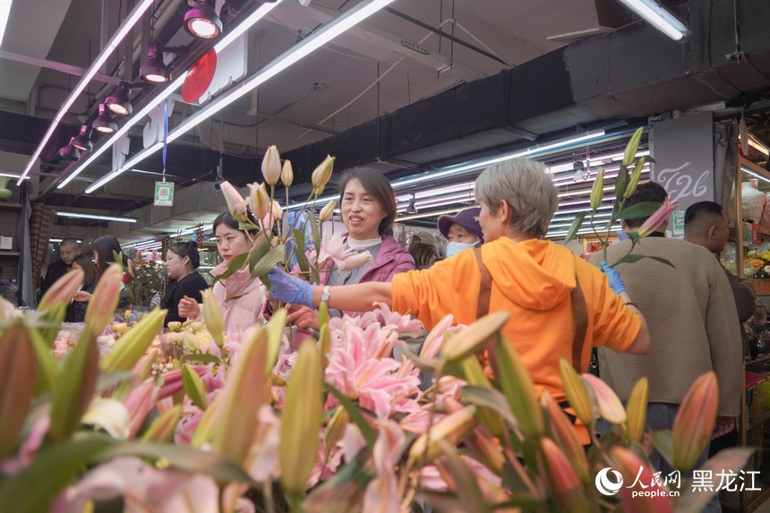 哈爾濱花卉市場“春意濃”