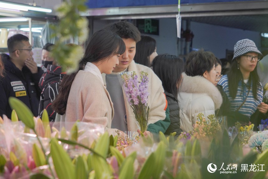 哈爾濱花卉市場“春意濃”